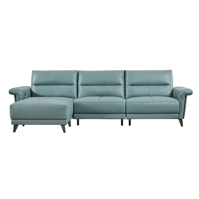 Leather Sofa
